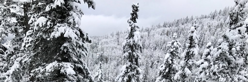 TGrenie's profile banner image