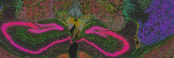 chrisavenel Profile Banner