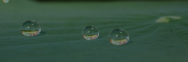 dropsplash Profile Banner