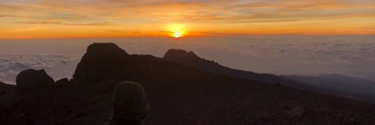dmcf1972's profile banner image
