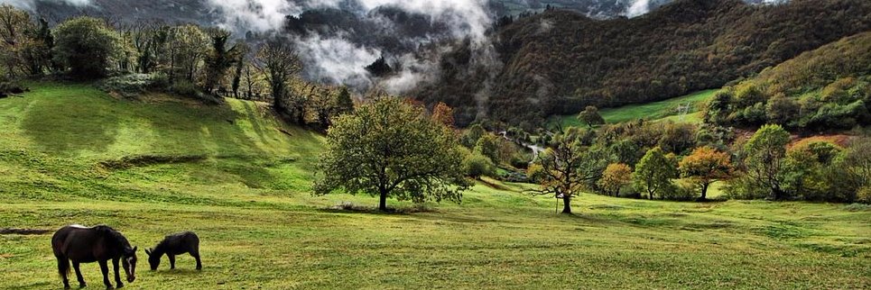 Patricia García banner