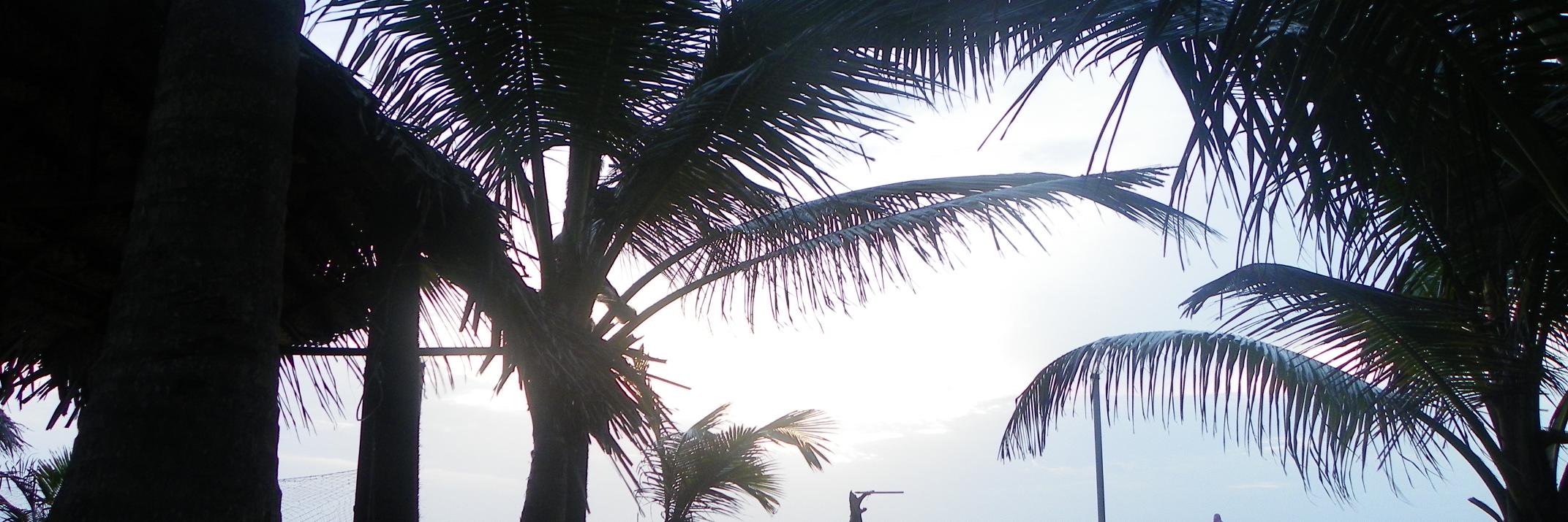 ClaireDaSilvaa's profile banner image