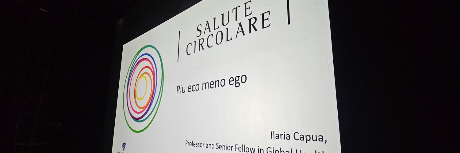 ilariacapua's profile banner image