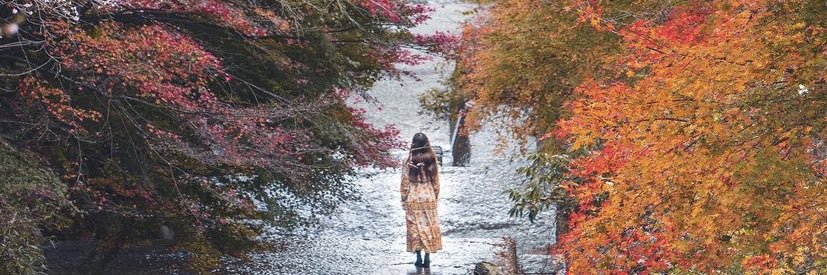 patty_yoi's profile banner image