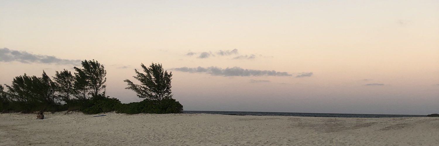 chloeeswan's profile banner image