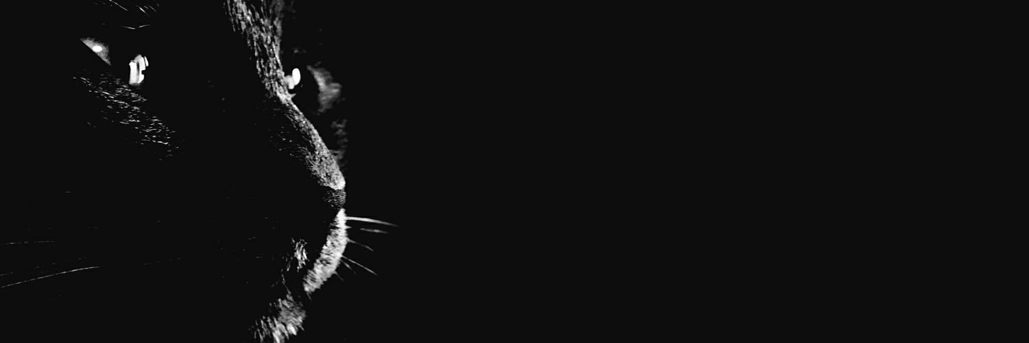 hattadahli's profile banner image