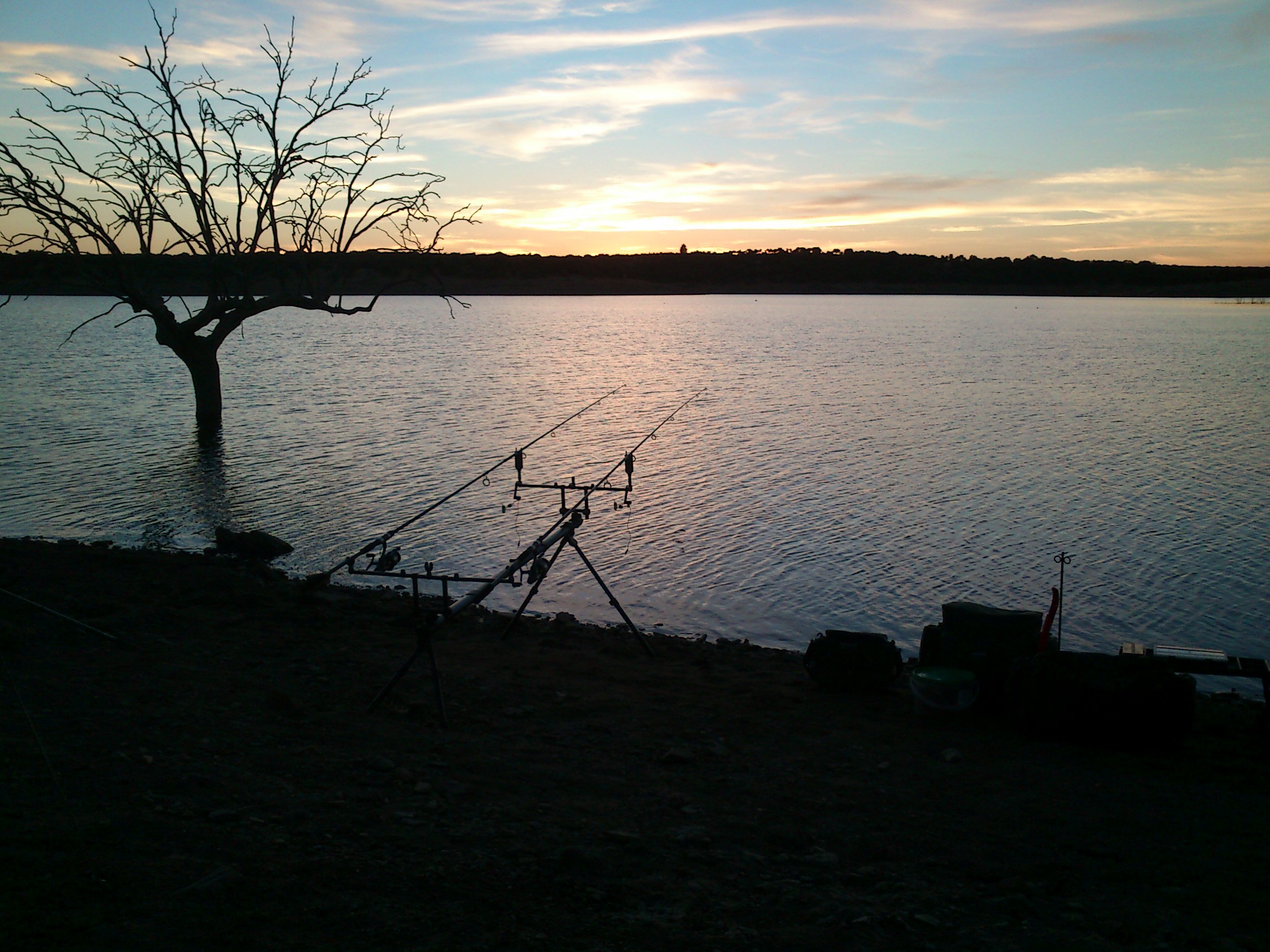 Sergio_C85's profile banner image
