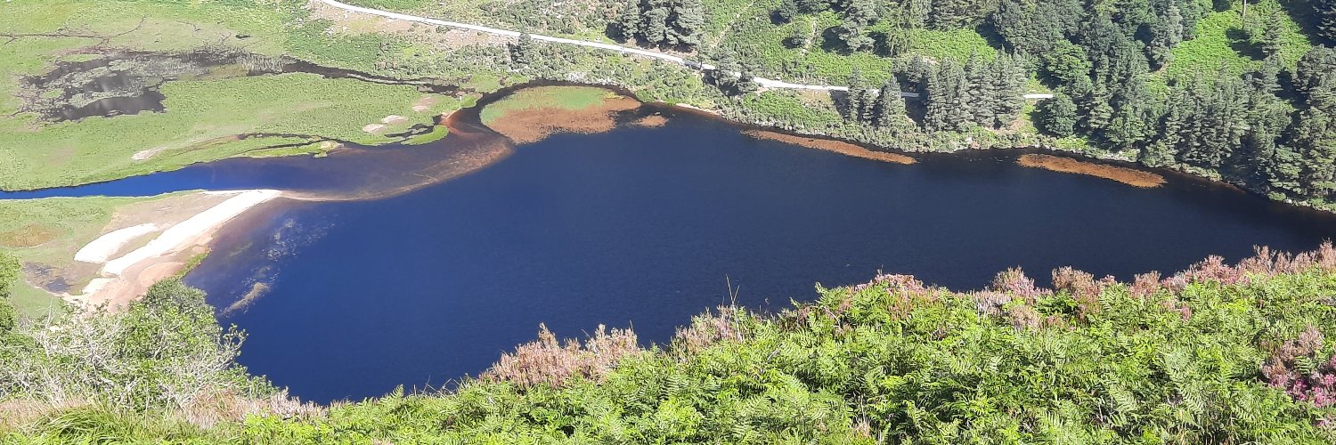 Cíara O'Reilly banner