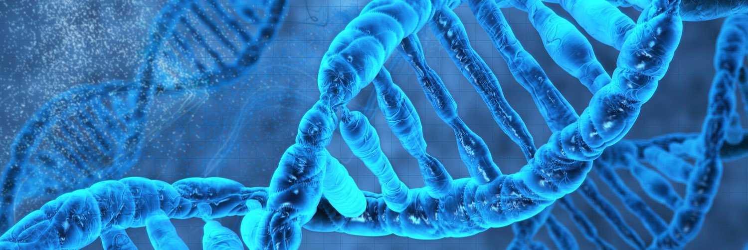 MeAndMyDNA's profile banner image