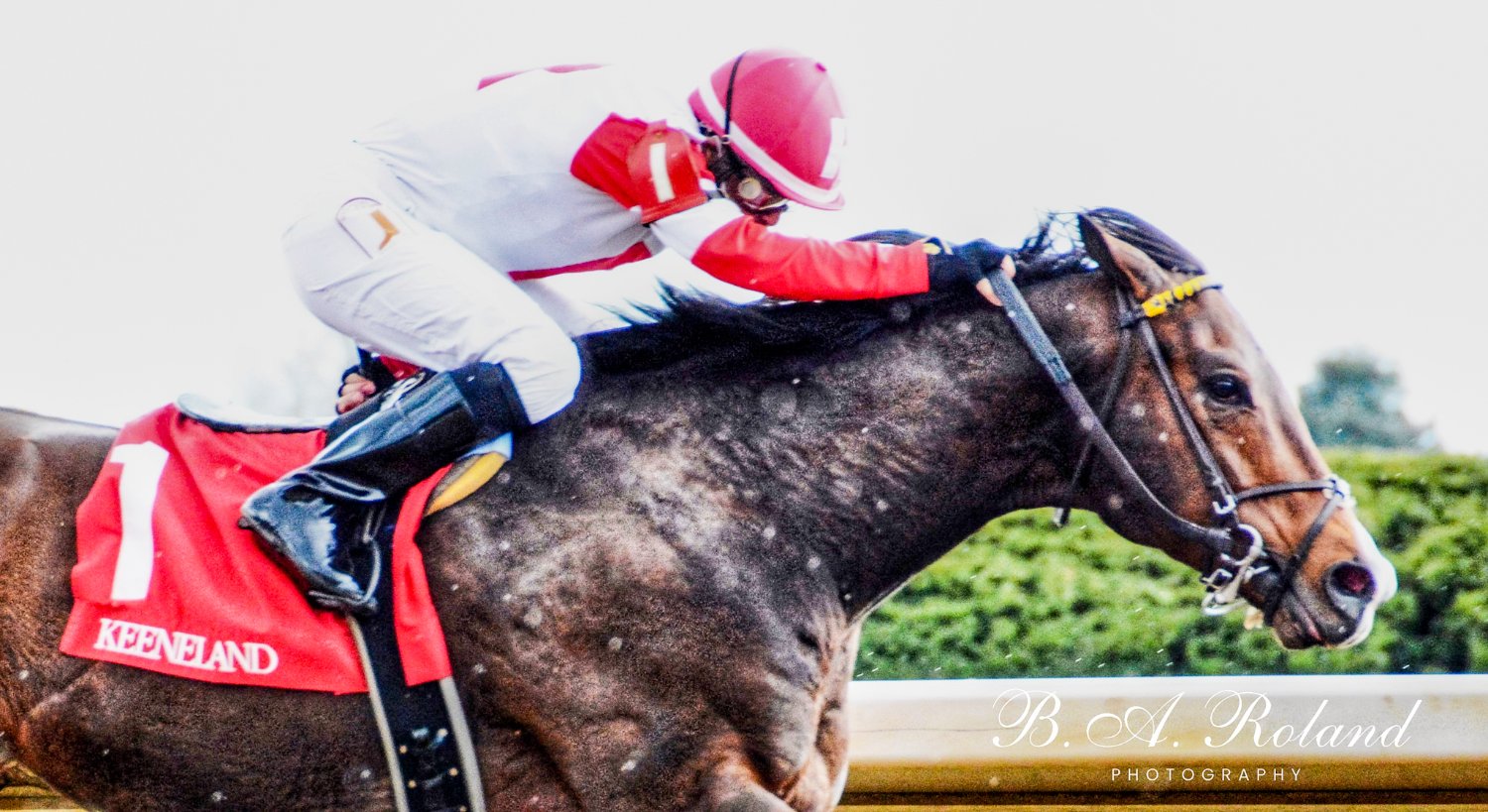 Barb🏇O'🇺🇸☘️ banner