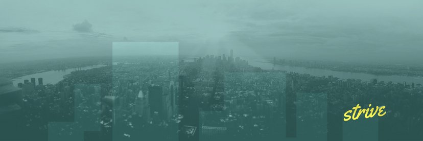 PDM Capital banner