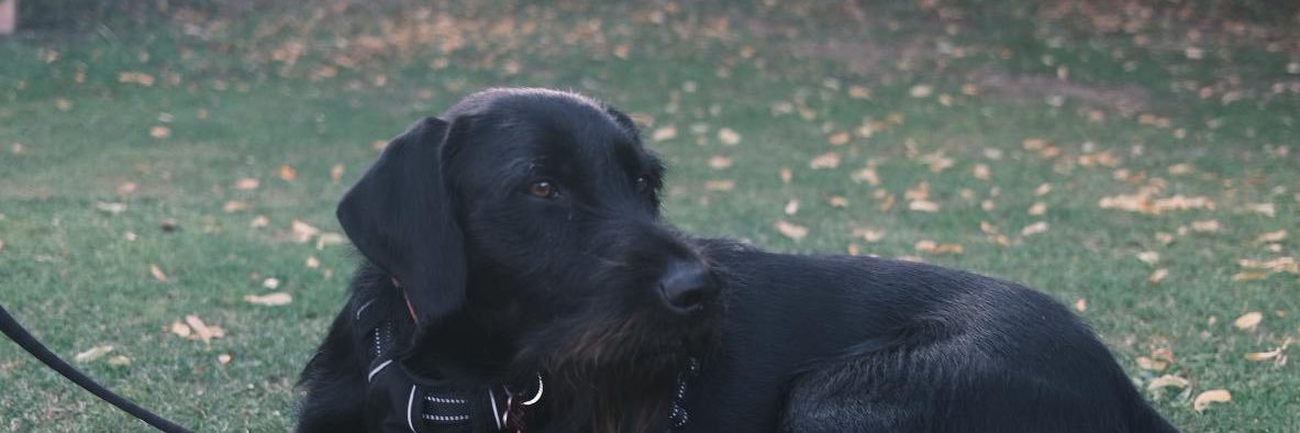 bobbie0710's profile banner image