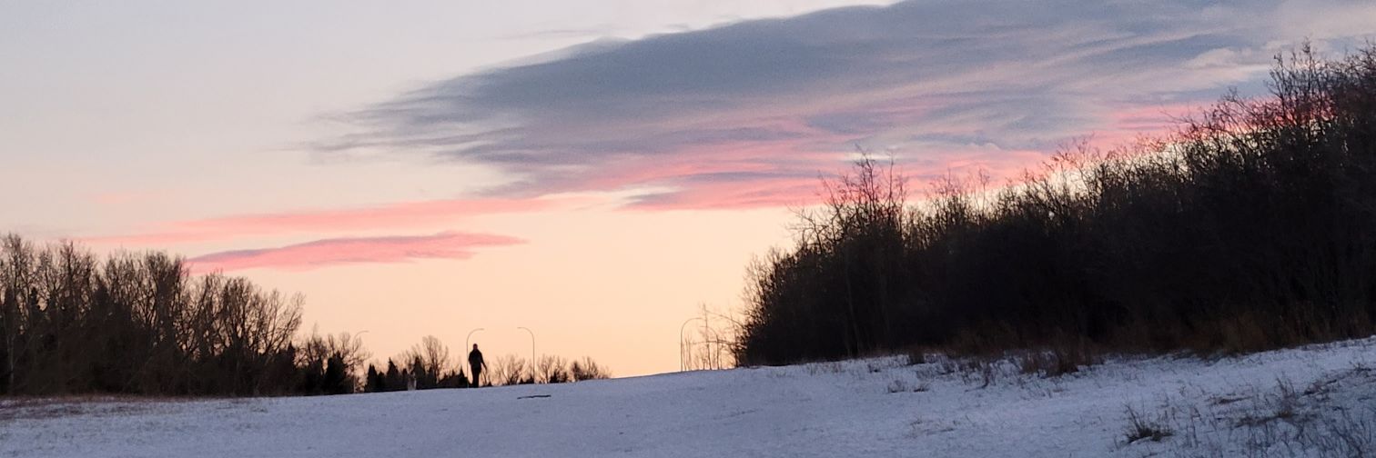 TropicalNorm's profile banner image