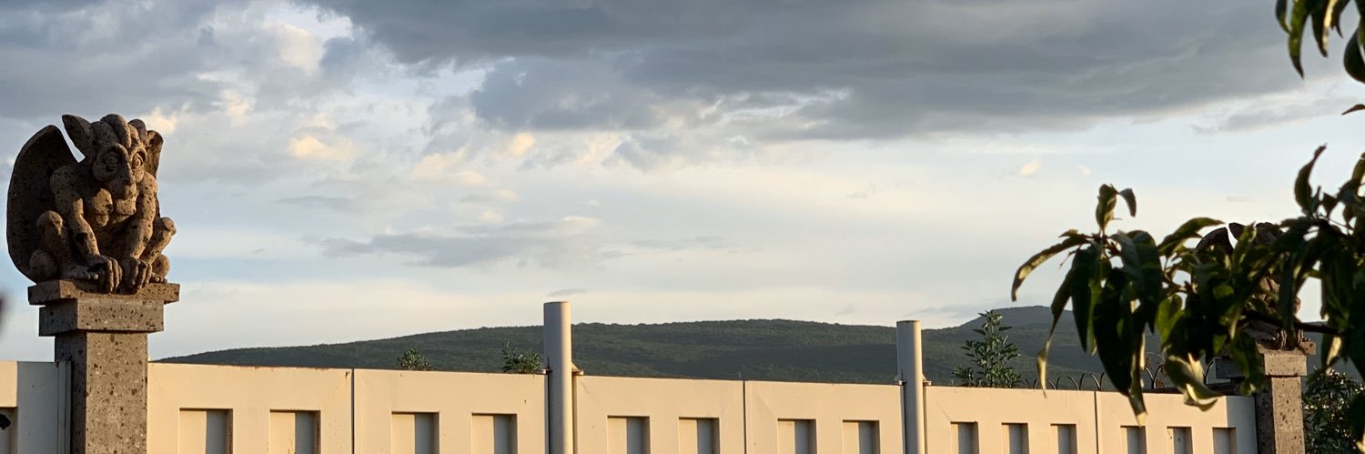 strawmerri's profile banner image