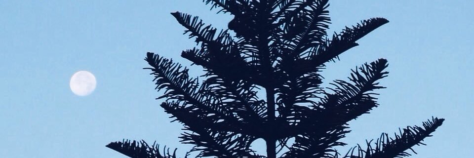 sinlibretamilit's profile banner image