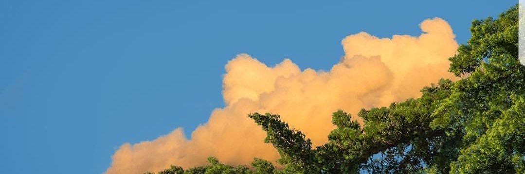HctorNavarro16's profile banner image