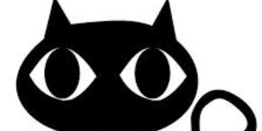Charmmycatty's profile banner image