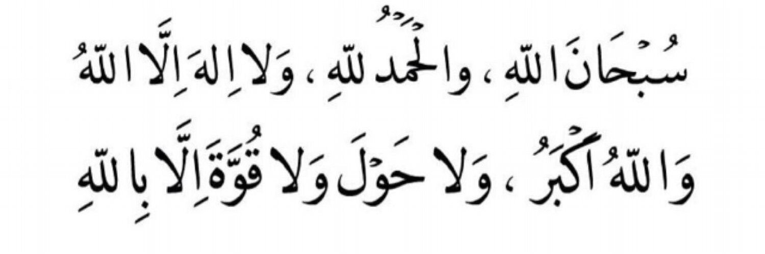 ｡. *･•･ *.･ ｡ banner