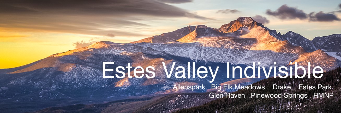 EV Indivisible banner