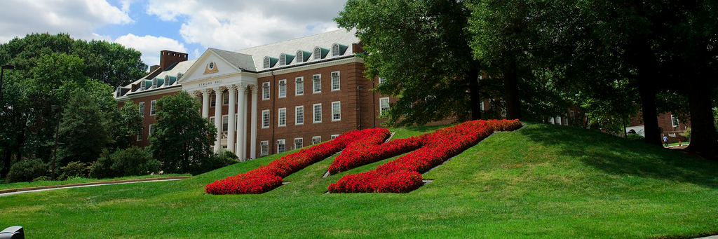Allie Kessel banner