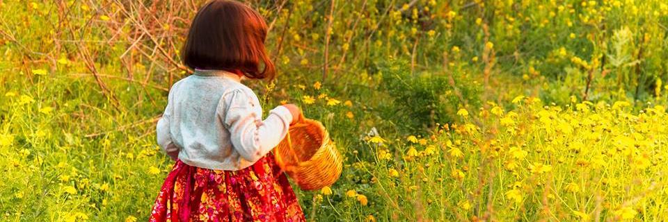 shereen_khaseeb's profile banner image