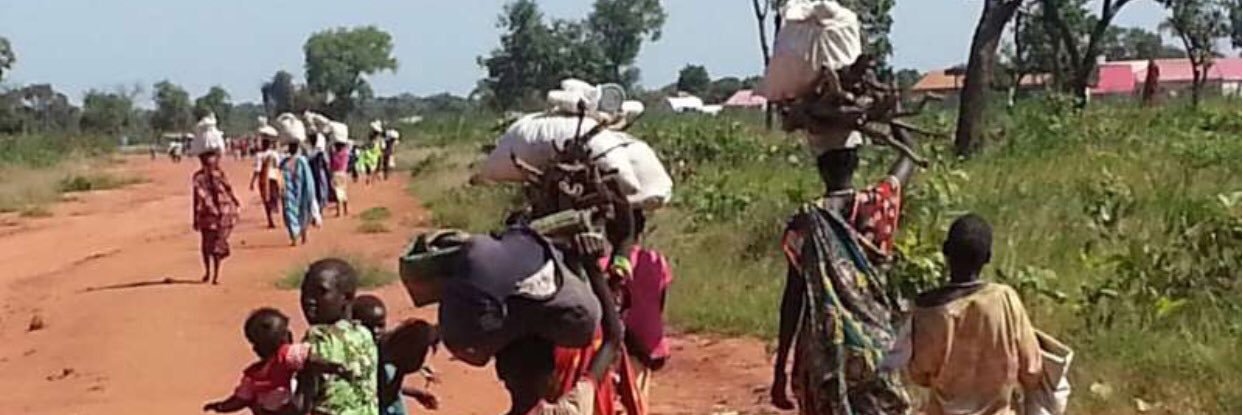 Nansey Benansio Foundation banner