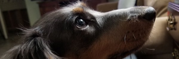 54WhittySmitty Profile Banner