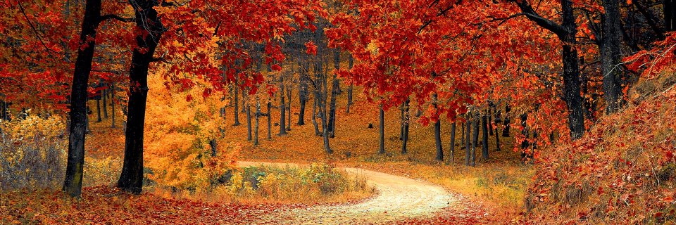 Campus Compact SNE banner