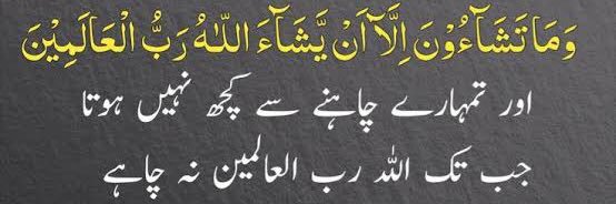 Captain Rida Naveed banner