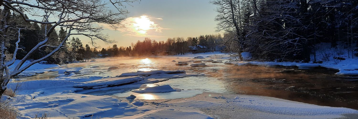 Anne H. banner