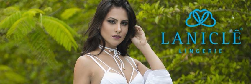 Twitter banner for @lanicle
