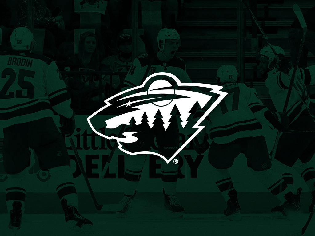 FSGonePuckWild's profile banner image
