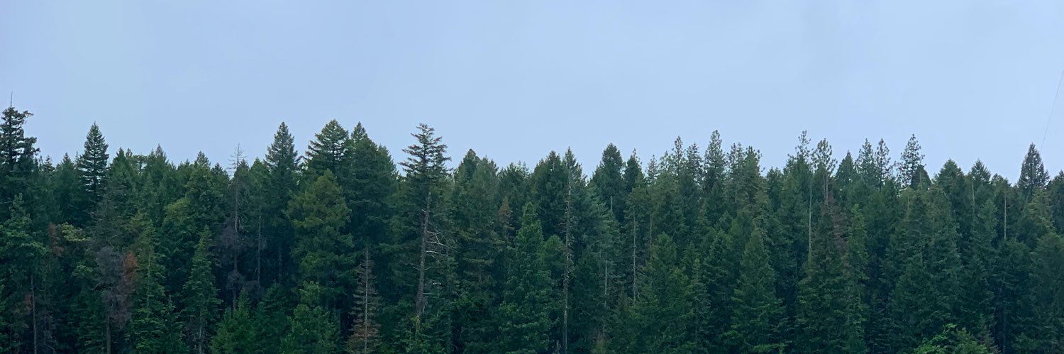 kapo_eh's profile banner image
