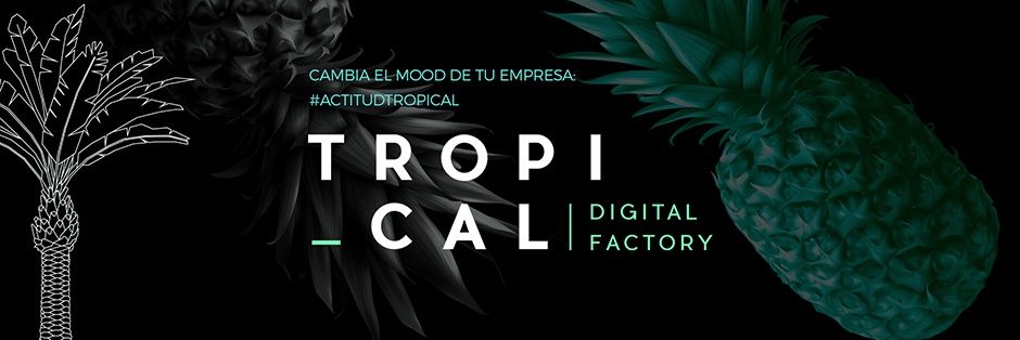 TropicalDF's profile banner image