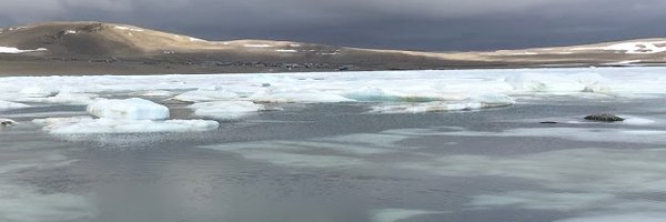 ianinaALT Profile Banner