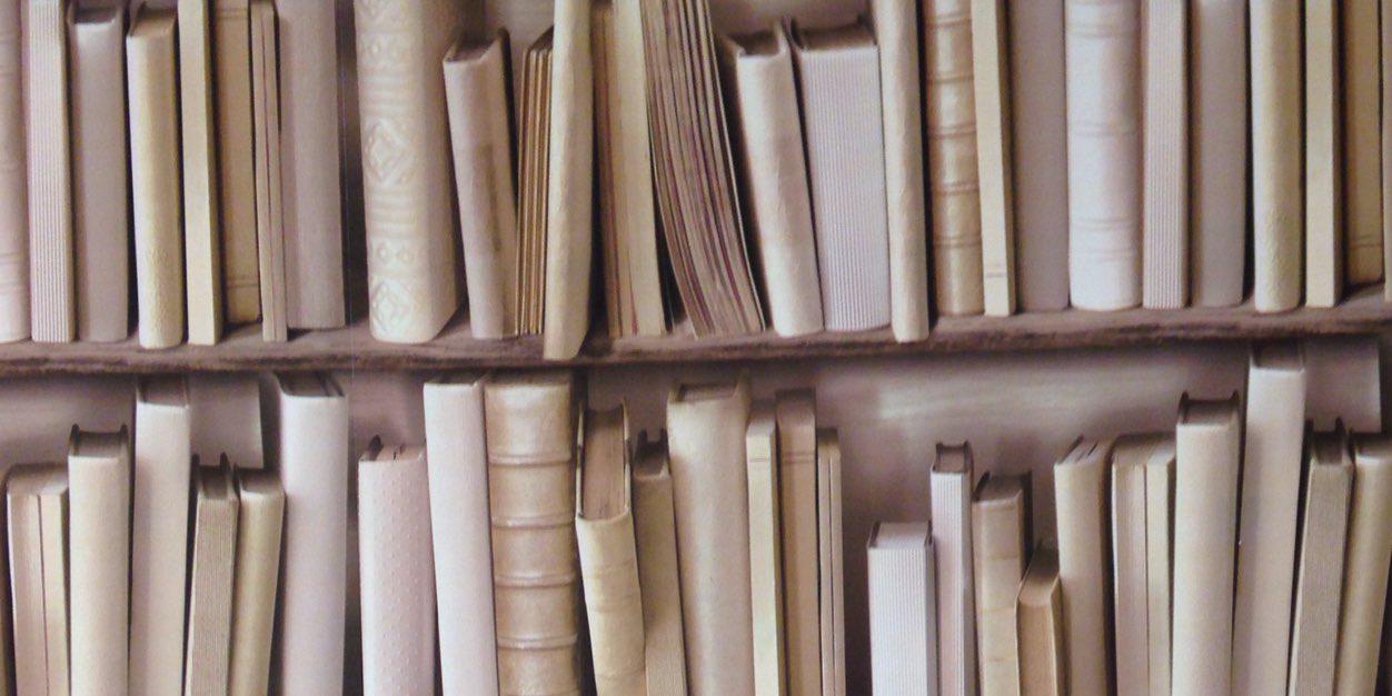 StephFiorelli's profile banner image