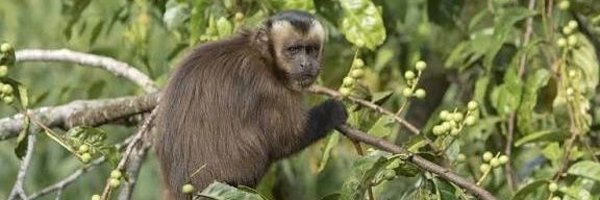 Mundo_MadridCF Profile Banner