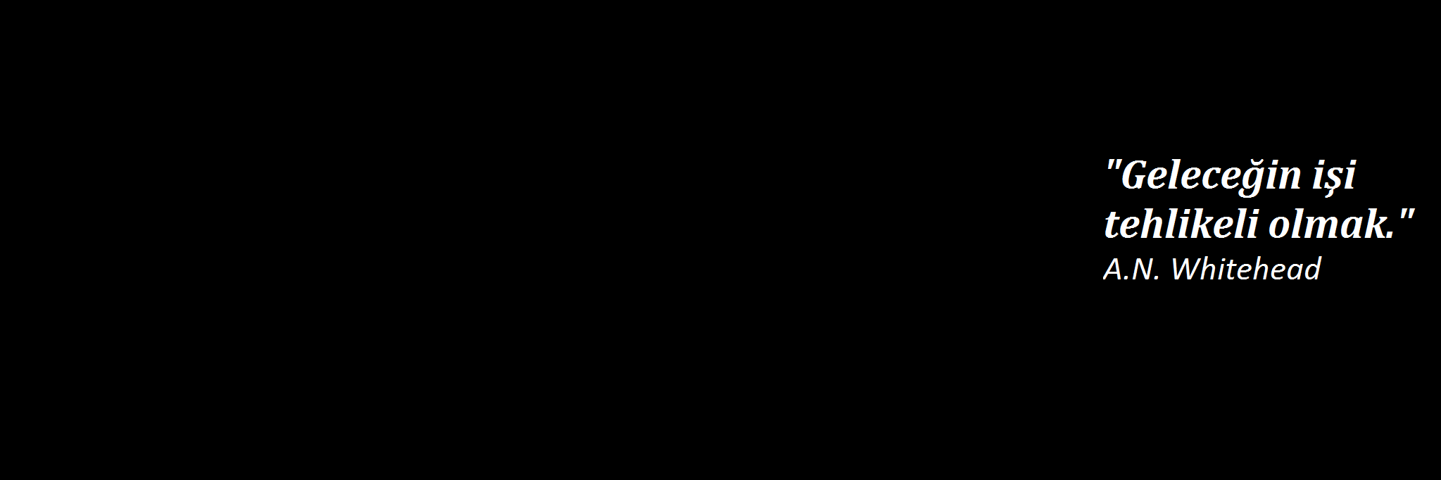 Safa Zengin banner
