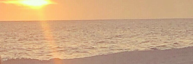 Tiffani banner