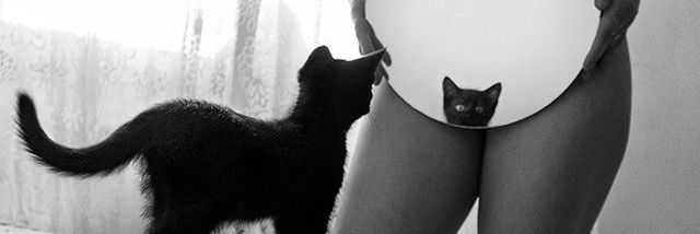 ꪑ꠸ꪑꪮƺꪖ 👀 banner