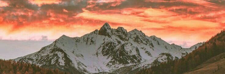 A. banner
