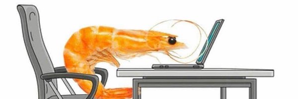 MsFloppy Profile Banner