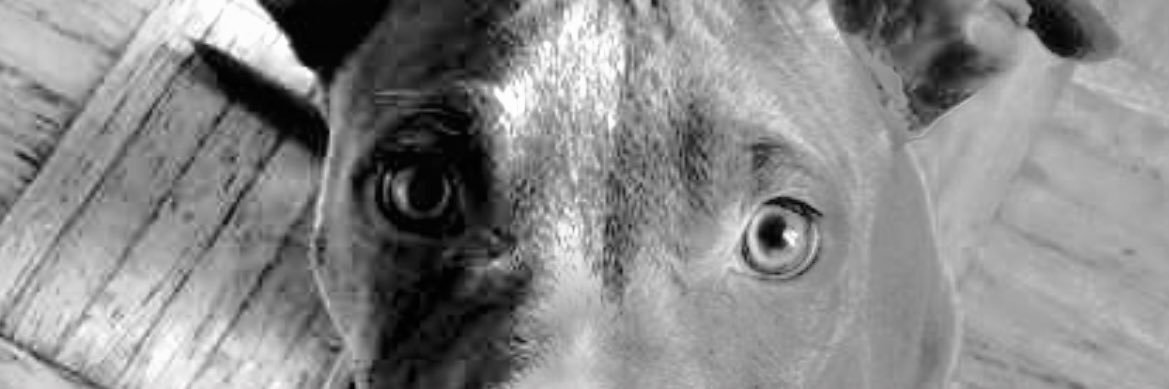 lexicd97's profile banner image