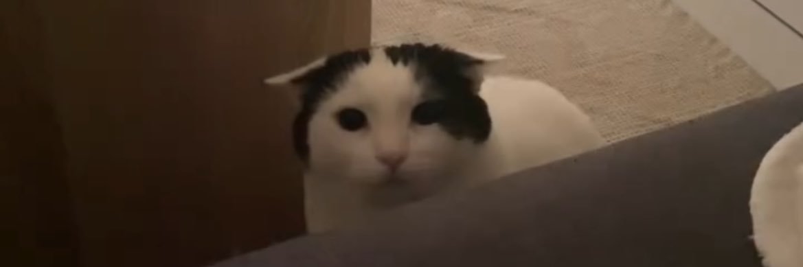 HugoTops's profile banner image