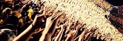 BeckyFlockerzi's profile banner image