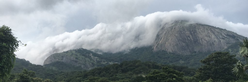 Donaldpaulrex's profile banner image