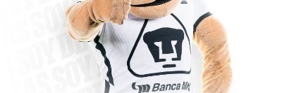 dalmeidan's profile banner image