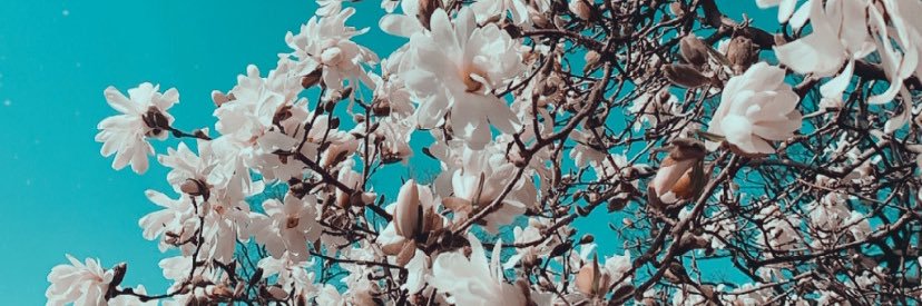 andreacreyes_'s profile banner image