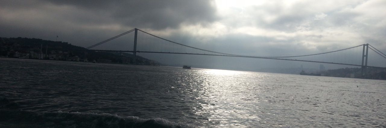 dgrmtl's profile banner image