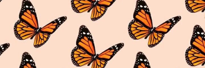 chloeconahan's profile banner image